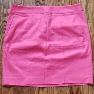 Ann Taylor Madison Skirt